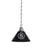 POW/MIA Pendant Light*