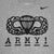 Army Nike 2024 Rivalry Airborne Logo Dri-Fit Cotton Long Sleeve T-Shirt (Grey)